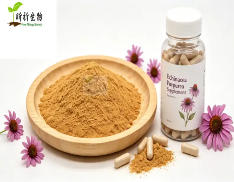 Echinacea Purpurea Extract Powder